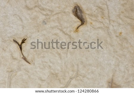 close up mulberry paper texture. handmade paper texture background.