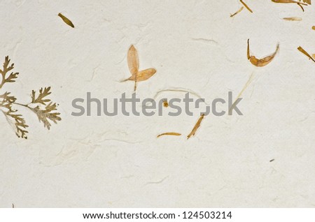Mulberry paper texture  with petals background. Retro, rough and rustic handmade paper