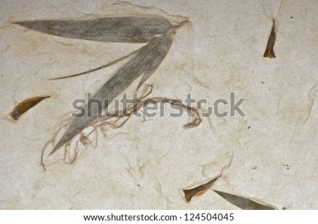 Mulberry paper with bamboo texture background. Retro, rough and rustic handmade paper
