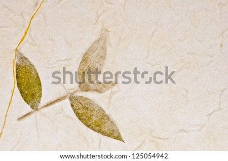 Mulberry paper texture with bamboo leaves background. Retro, rough and rustic handmade paper