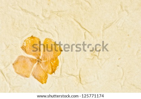 Mulberry paper texture with petals background. Retro, rough and rustic handmade paper
