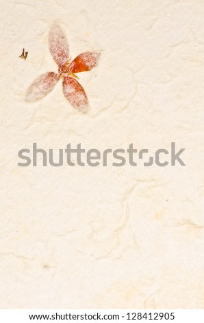 Mulberry paper texture with petals background. Retro, rough and rustic handmade paper. You can use in the packaging, bookmarks, handicrafts