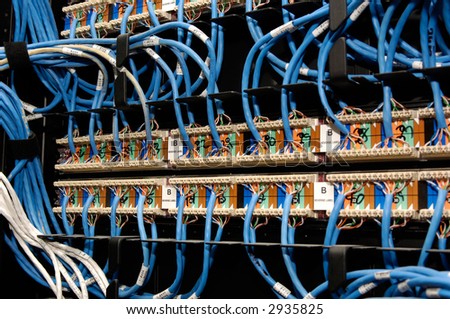 Cat 5 Cable and plugs connected to an ethernet hub.