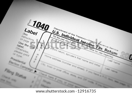 Internal Revenue Service Form 1040