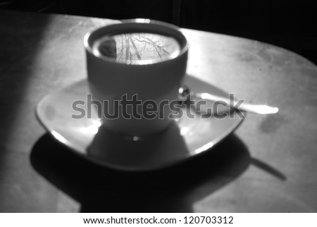 Tree reflection in a white cup of tea on a table. Black and white photo.