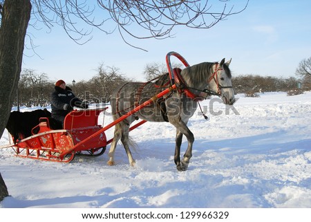 MOSCOW, RUSSIA - JANUARY 27: Red sleigh pulled by a horse in a winter park. Traditional Russian winter fun. Taken on 27.01.2013 in Kolomenskoye, Moscow, Russia.