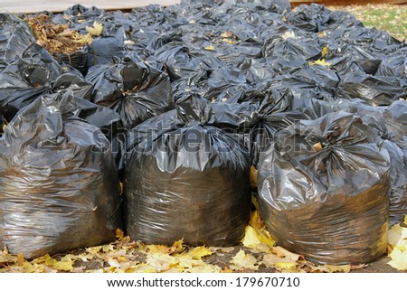 Garbage bags filled with yellow autumn leaves. Autumn park.