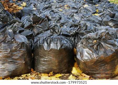 Garbage bags filled with autumn leaves.