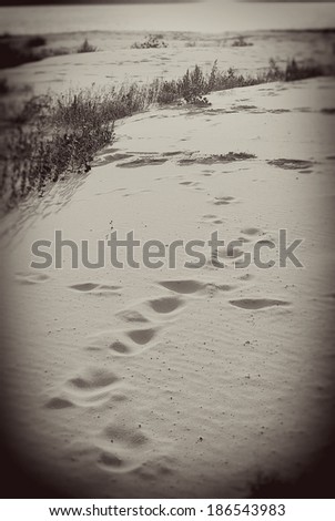 Traces on the sandy beach. Vintage style sepia photo.