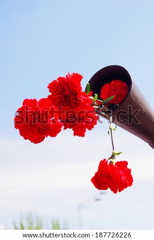 MOSCOW, RUSSIA - MAY 09, 2013: Red carnations stick out of a gun barrel, one of the flowers is broken. Holiday decoration on the Gorky park. Victory Day celebration in Moscow.