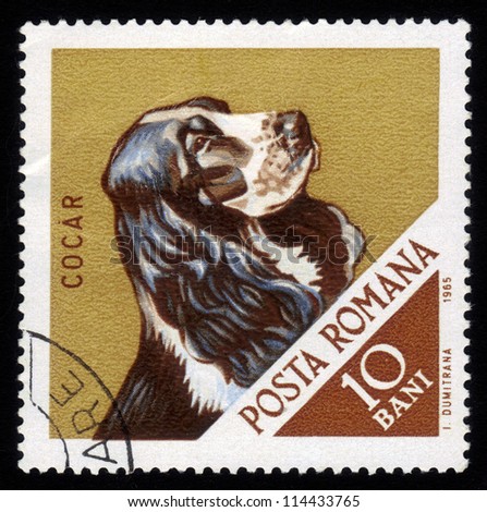 ROMANIA - CIRCA 1965: A stamp printed in Romania shows a hunting dog with the inscription Ã¢Â?Â?Cocker SpanielÃ¢Â?Â� from the series \