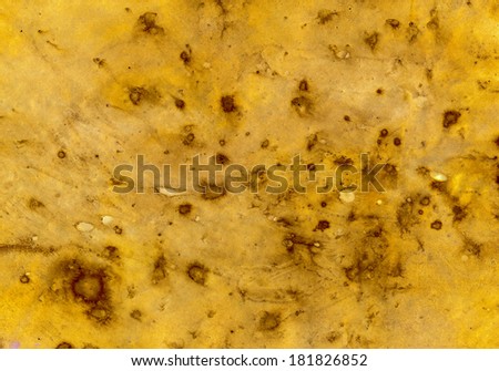 abstract background of old paper with spots
