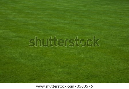Putting green grass - very short, freshly cut grass on the putting green of an international golf course. Wide angle shot, zoom in to see the texture of the close grass.