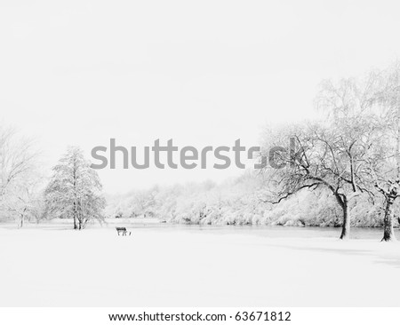 Winter landscape with deserted bench covered in fresh snow