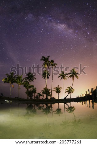 Night scene with silhouette coconut tree reflection on water and Milky Way Galaxy in sky .( visible noise due to high ISO, soft focus , shallow DOF , slight motion blur )