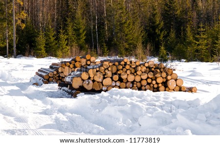 a pile of pine timber waiting for transport