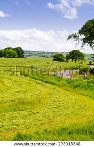 Freshly cut grass farmland, Tulloch Burn, Priestland by Darvel, East Ayrshire, Scotland