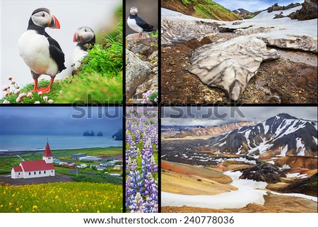 Photo collage from Iceland. Collage includes major natural landmarks like the Puffins on wesfjords, Landmannalaugar mountains and Vik