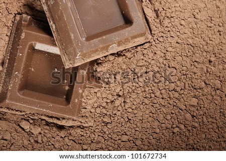 cocoa powder with chocolate blocks