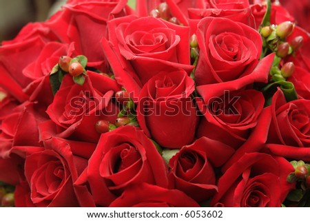 stock photo A close up of a red rose bridal bouquet with partially closed 