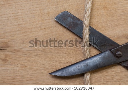 Old scissors on wood cutting rope