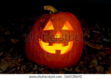 Smiling Jack-o\'-lantern sitting on a bed of dead leaves.