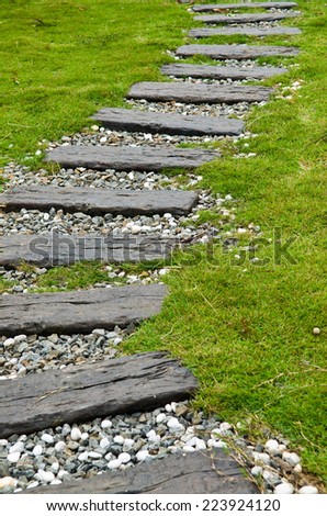 Wooden Stepping Pathway - Old stepping wood along the walk way in the garden