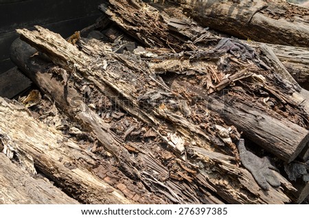 Rotten mangrove wood - Nature perfection, rotten wood broken into pieces