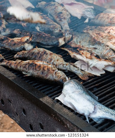 Fish barbecue