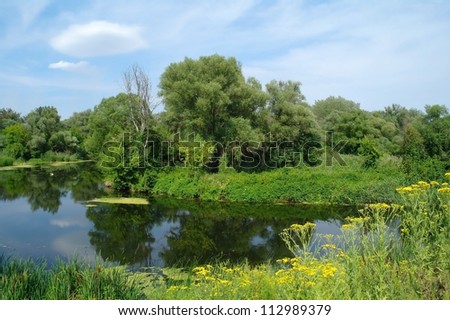 River, land with trees and meadow