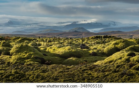 Grindavik Lava field at Iceland that cover by green moss with snow mountain background in Autumn season