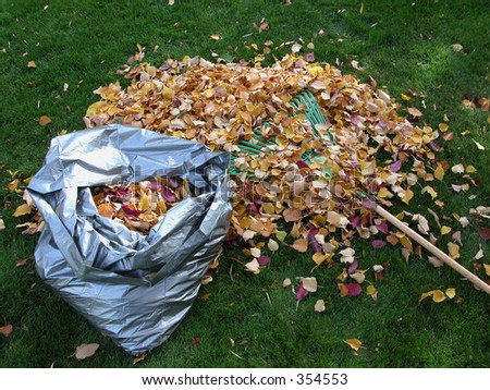 Bag of Leaves
