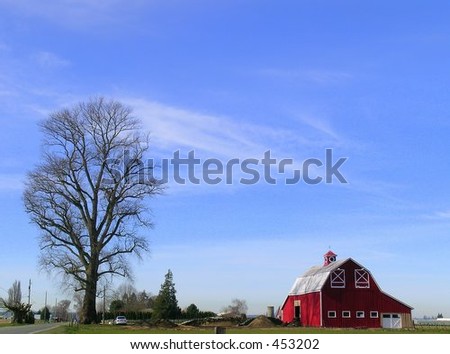 Big Red Tree