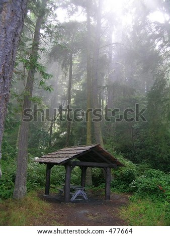 Gazebo, picnic shelter in the rain forest