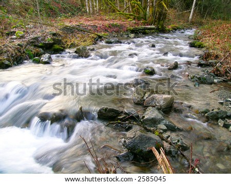 Swift Creek, Northwest Washington state, USA