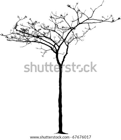 stock vector vector drawing of the small naked winter tree