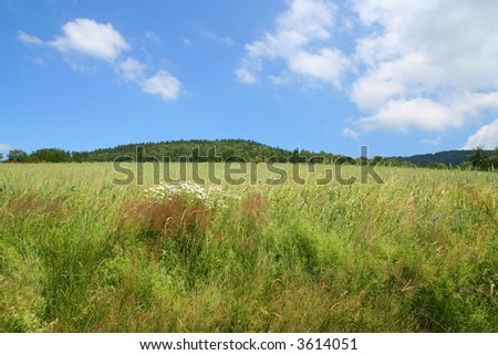 land scape Poland  range of mountains Beskidy
