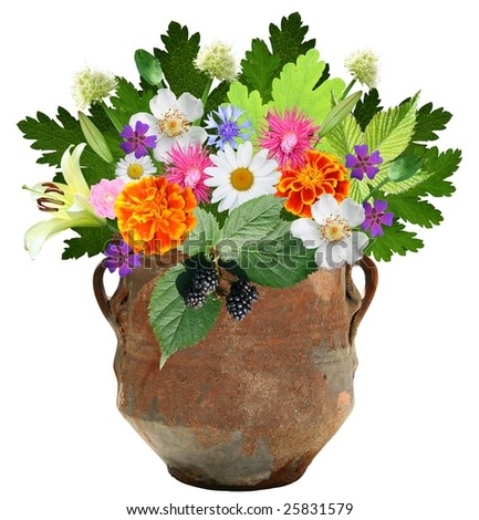 flowers decoration, vase jug pitcher mug