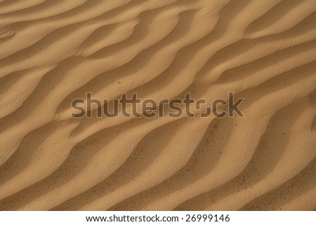 sahara desert - background