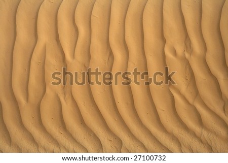 sahara desert - background