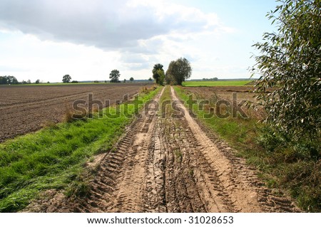 road, country-side in Poland