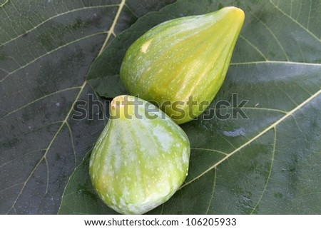 figs on fig leaf