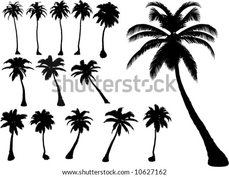 Vector Tropical Palms And Trees - 10627162 : Shutterstock