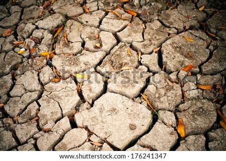 Dried earth and leaves because of rain dose not fall