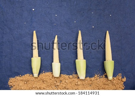 Modern minimalism still life with brown sugar and corn on blue background. Food background