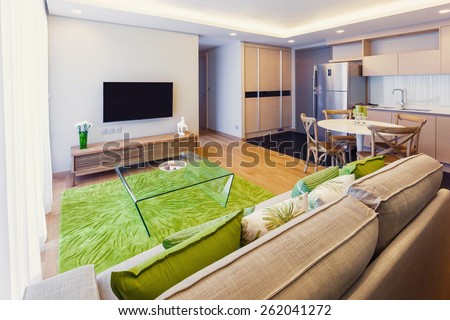 living room with tv interior