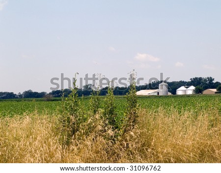 A farm with crops, barns, buildings and sky.