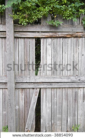 A worn and aged wooden privacy fence that needs repair.