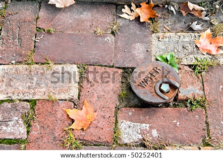 A water utility cap embedded in a brick walking path with some fallen leaves.