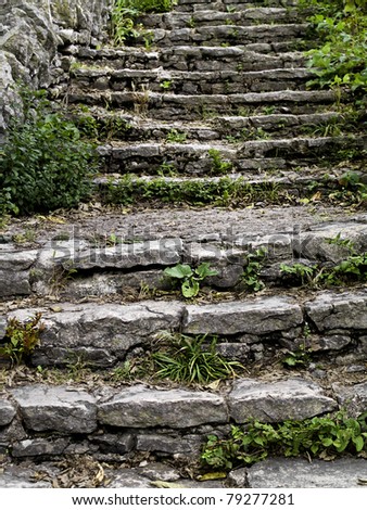 Old stone steps with greenery growing between and in crevices.